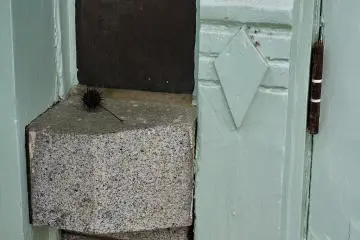 Detail: Decorative wood and stone around the back door