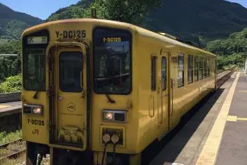 The local train stops at every station. This little guy is cute!