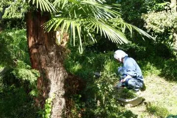 Priest working in the garden