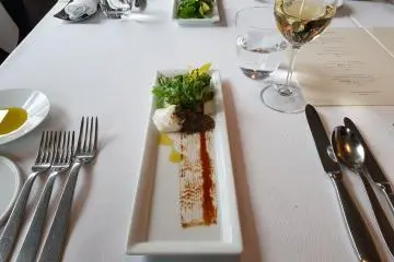 Salad of fresh harvested leaves and sprouts