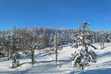 Powder heaven