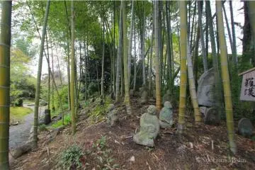 Stone sculptures in the bamboo grove