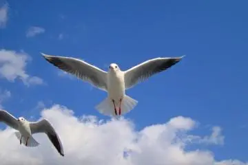 <p>....</p>