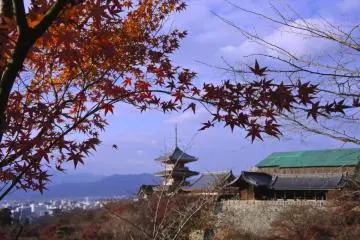 Wonderful red leaves on the temple grounds (Photo: Manish)