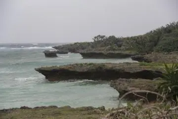 <p>Further away from the lighthouse the coral bluffs soften and transform into beaches that dot the coastline south of the cape</p>