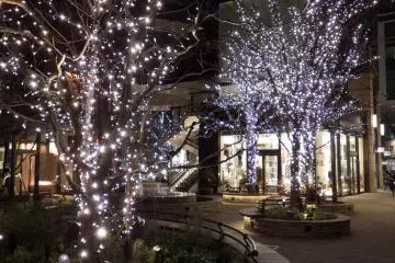 Containing many upscale shops and a large park this area is great for escaping the crowds