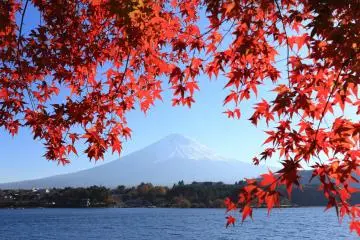 A view of Mount Fuji