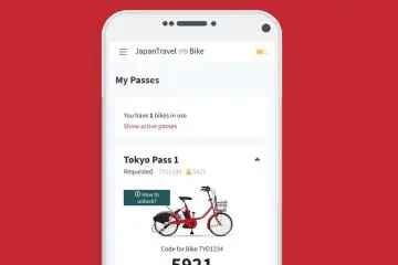 Input the bike number to get your unique 4-digit passcode