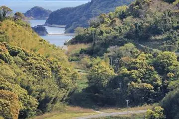 Another view from the top of the castle, with Mt. Ishizuchi in the distance