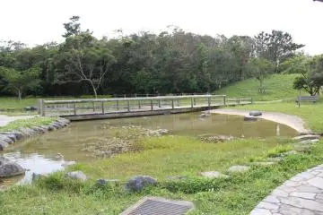 <p>There's a quaint little pond with a bridge across it that is fun to explore around</p>