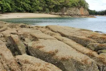 The rocks have pools with shrimp, anemone and other marine life