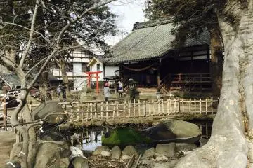 Shiratori Shrine and the old Zelkova Tree