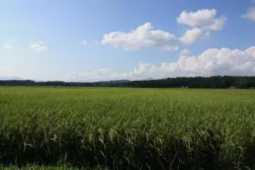 Her journey through the north of Japan took her far from city life and into the heart of the countryside.