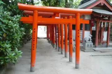 <p>ประตูโทริอิที่ศาลเจ้าซูมิโยชิ</p>