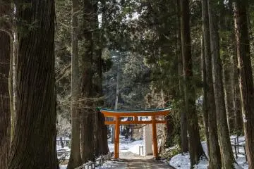 Berjalanlah melalui gerbang torii dan menjauhi area Chuson-ji dimana tidak banya orang datang, dan temukan banyak kesempatan memotret