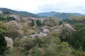 Dekat dengan puncak