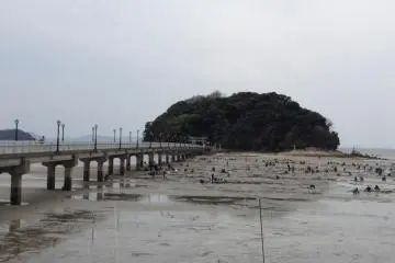 Treasure hunting at Gamagori. (Photo: PPF)