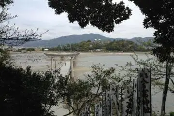 From Takeshima Island looking back to the mainland (Photo: PPF)