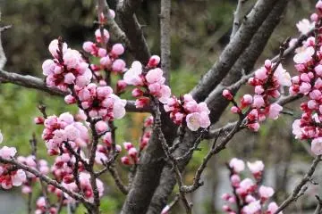 สีสันสุดสวย