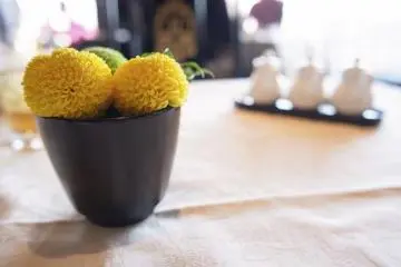 It is the delicate touches like fresh flowers that make waking up a joy at Marriott Associa Hotel Nagoya (Photo: <a href="http://www.flickr.com/photos/bonguri/6707511373/" target="_blank" rel="noreferrer noopener nofollow">Bong Grit  (CC BY-ND 2.0)</a>)
