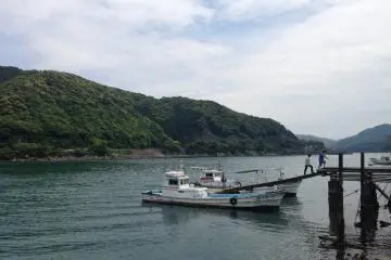 Cobalah naik perahu dan nikmati menyusuri sungai di taman nasional
