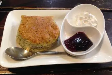 Cat scone