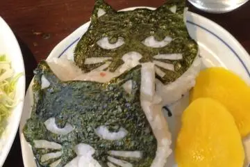 Cat onigiri