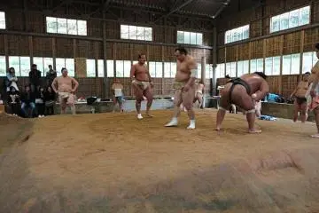 Next up: the sekitori (mid-level and higher wrestlers) prepare to display their training
