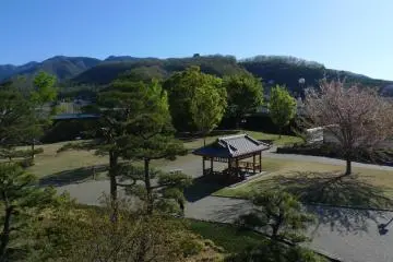 Beautiful view of the park