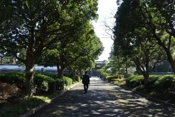 อีกมุมหนึ่งของสวน