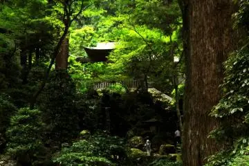 Within the grounds of Saijoji