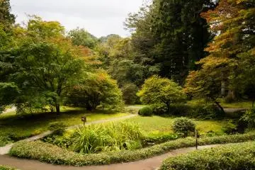 You can see some trees starting to change color