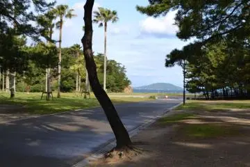 Discover what Odo Park has to offer