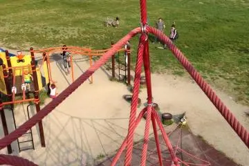 Plenty of fun for everyone