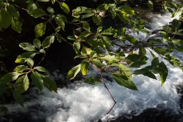 But still everything is mostly green