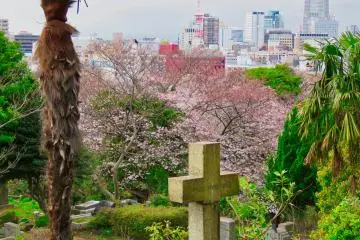 Foreign Cemetery