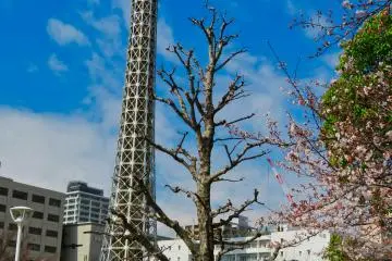 Marine Tower