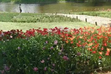 A contemplative riverside walk