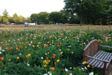 Waiting for you to come run through