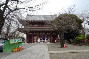 Gallery image