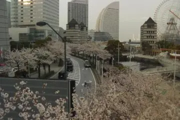 바쁜 거리는이 시간에 더 우호적으로 보인다