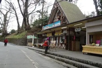 Gallery image