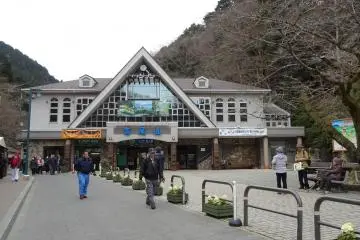 Gallery image