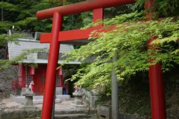 Red Tori gate- Fudoin Temple Grounds