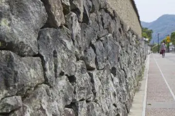 A well-preserved garden wall