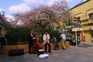 Street musicians in Kiyamachi are very common. Jazz and swing suited up performers? Not so much