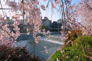 Kamogawa