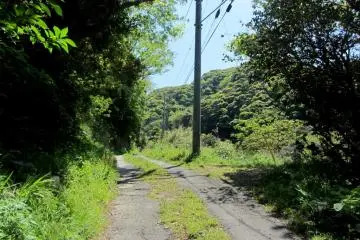 Hiking Mount Nokogiri