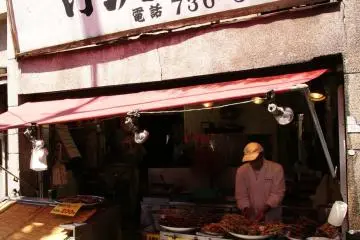Lingkungan yang mengelilingi sharehouse