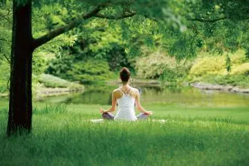 Yoga in the garden